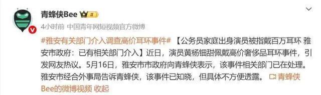 引全网破案！父亲公务员履历被扒开元棋牌app黄杨钿甜天价耳环(图5)