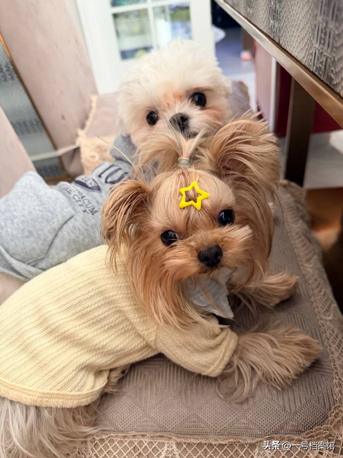 告风波已七年回旋镖还是扎在自己身上开元棋牌赢了官司输了一切！朱军诬(图2)